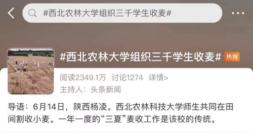 学生收麦子被指作秀  西北农林科技大学回应