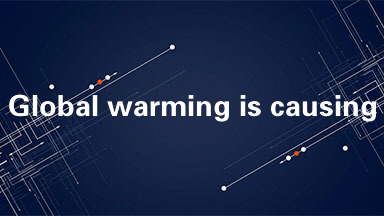 Global warming is causing more than 300,000 deaths