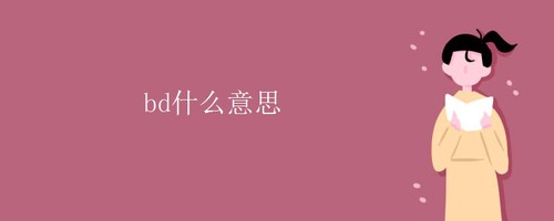 bd什么意思 bd主要工作内容