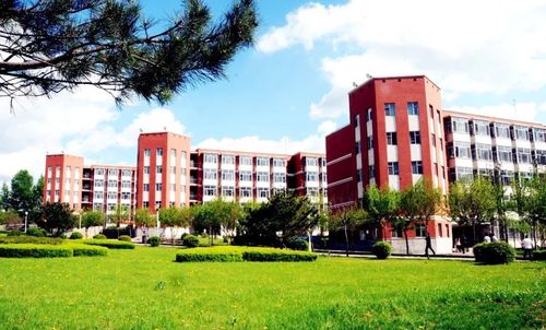 2022青海高考300分文理科能上什么大学