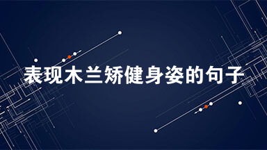 木兰诗中表现木兰矫健身姿的句子是什么