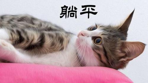 内卷是什么意思　内卷和躺平什么意思