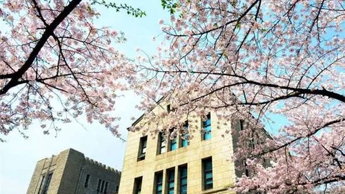沈阳职高学校有哪些比较好 沈阳市职高学校有哪些2021