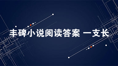 丰碑小说阅读答案 一支长长的红伍