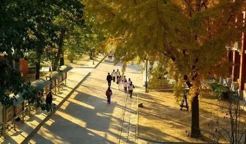 2021年漳州一中新高一入学须知 漳州一中高一入学须知2021