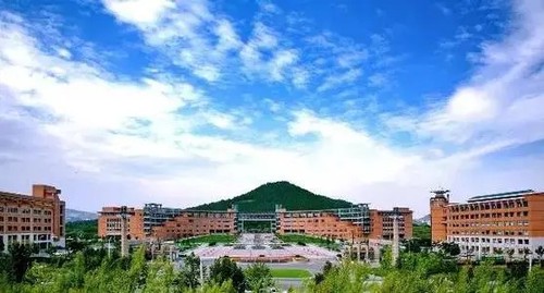 被提档后服从调剂会不会被退档  被提档就一定会被录取吗