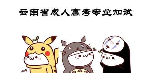 2021年云南省成人高考专业加试 云南成考专业课需加试专业