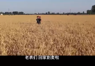 一句誓言 一生作答 98年舞蹈系女孩回村当支书：想当英雄