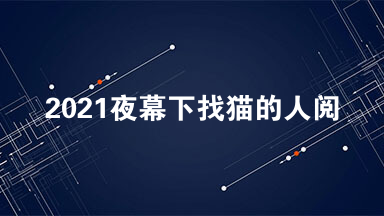 2021夜幕下找猫的人阅读答案 夜幕下找猫的人阅读理解2021