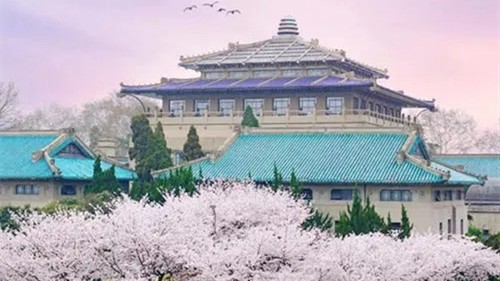 大专是什么学历啊是大学吗 大专是什么学位和学历