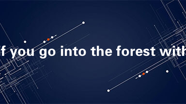 if you go into the forest with