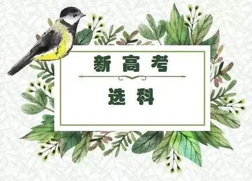 高考3+1+2科目最佳搭配 2021年高考选科最好搭配