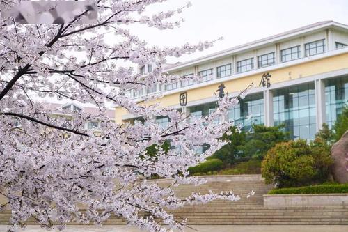 中国海洋大学2021年强基计划 中国海洋大学强基计划招生简章2021