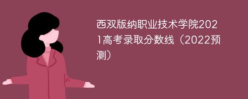 西双版纳职业技术学院2021高考录取分数线