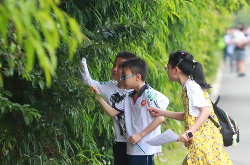 合理调控中小学作业结构和总量 如何调控中小学作业结构和总量