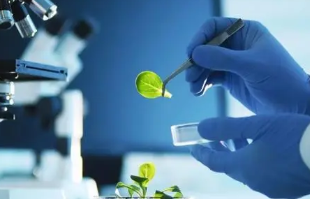 研究生十大最烂专业 考研不推荐的专业盘点