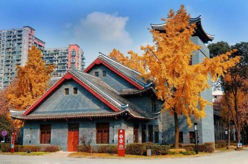 四川大学励志计划2021 四川大学强基计划招生