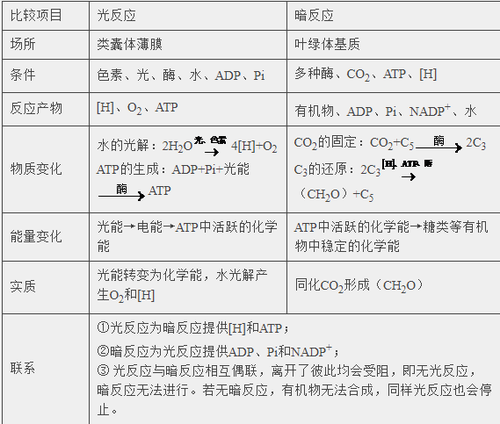 人工光合作用系统可利用太阳能合成糖类生物题