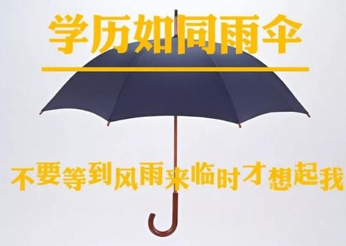 成考本科与自考本科有什么区别 自考本科好还是成考本科好