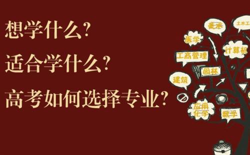 2021前景比较好的专业 高考怎么选适合自己的专业