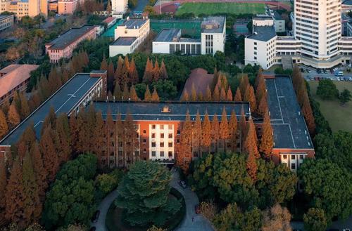 2021年东华大学艺术生录取分数线是多少